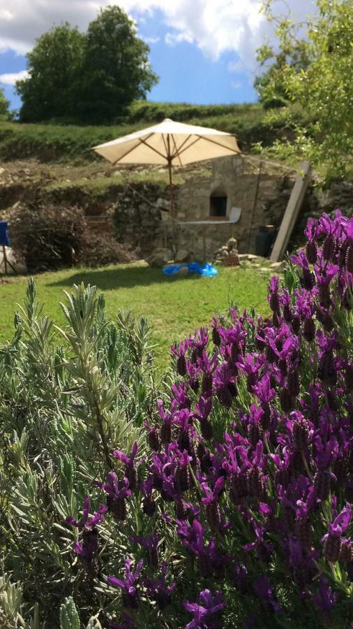 Il Borghetto Di Carra Apartment Talla Екстериор снимка